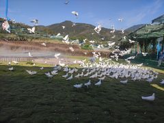 -瓷天下海丝谷