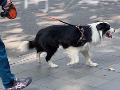 -安福路