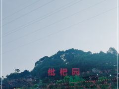 -枇杷园食为鲜火锅(南山店)