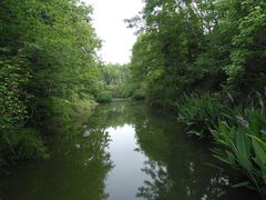 -桤木河湿地公园