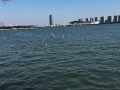 -无锡蠡湖国家湿地公园-蠡园