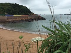 -枸杞岛