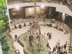 -辽宁古生物博物馆