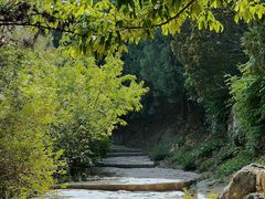 -北京鹫峰国家森林公园