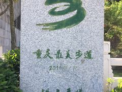 -铁山坪森林公园