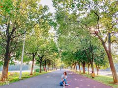 -艾溪湖湿地公园