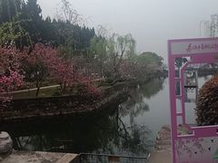 -无锡蠡湖国家湿地公园-蠡园