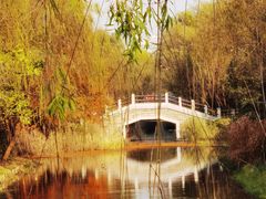 -虎丘湿地公园
