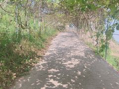 -美心红酒小镇游乐园