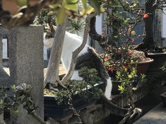 -玉苍山国家森林公园