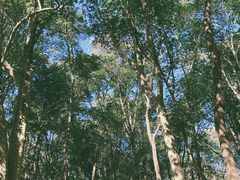 -杭州植物园