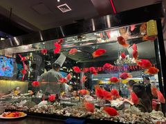 -火舞铁板烧(龙岗中心城店)