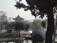 -四海公园(南山区)