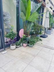 -倩极·精研痘敏肌管理
