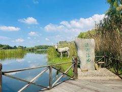 -溱湖国家湿地公园