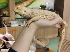 -藦茜花园宠物主题亲子互动体验馆(国顺东路店)