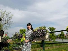 -荷兰花海