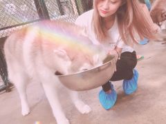 -TrueLove @ Neverland (Husky Cafe)