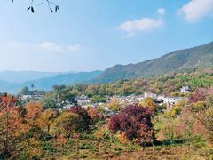-塔川景区