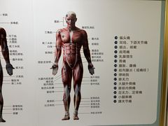 -通透堂中医·精准推拿(旗舰店)