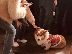 -文峰大世界(南大街店)