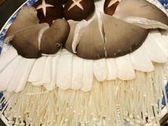 -董家湾重庆老火锅(嘉华店)