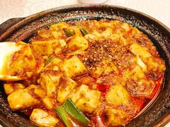 -陈麻婆豆腐总店