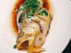 葱油大黄鱼-三利音·玖弄小鲜(浦东嘉里城店)
