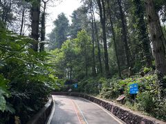-贵州森林野生动物园