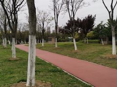 -天鹅湖体育公园