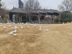 -东台西溪天仙缘景区