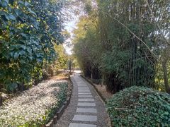 -九龙潭景区