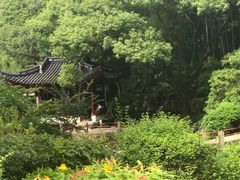 -汇龙潭