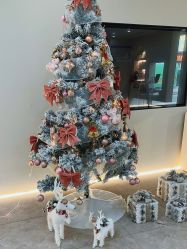 点击看大图 -VE专注问题肌·赛诺龙&科学美肤中心