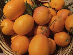 -九村烤脑花·两江非遗(创始总店)