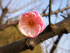 -白塘生态植物园