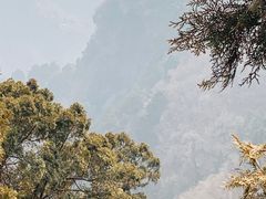 -北京上方山国家森林公园