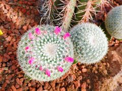 -南通洲际绿博园