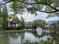 -尚湖风景区