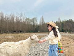 -加顺农场餐厅