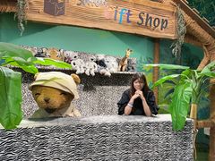 -济州岛泰迪熊博物馆