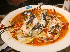 -坛宗剁椒鱼头(河西王府井店)