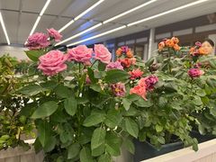 -望海臻鲜·海鲜餐厅