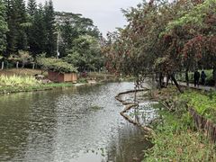 -映月湖公园