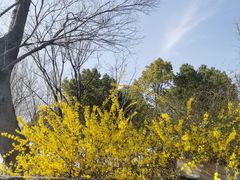 -滆湖低碳生态公园