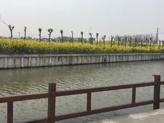 -南汇水蜜桃采摘(大团店)