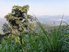 -广州市帽峰山景区