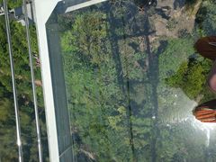 -宁波五龙潭景区