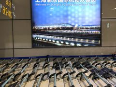 -上海浦东国际机场-T2航站楼