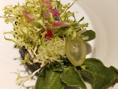 -叶叶菩提·晋福宫